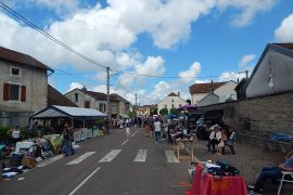 pomoy fete comite  (5)